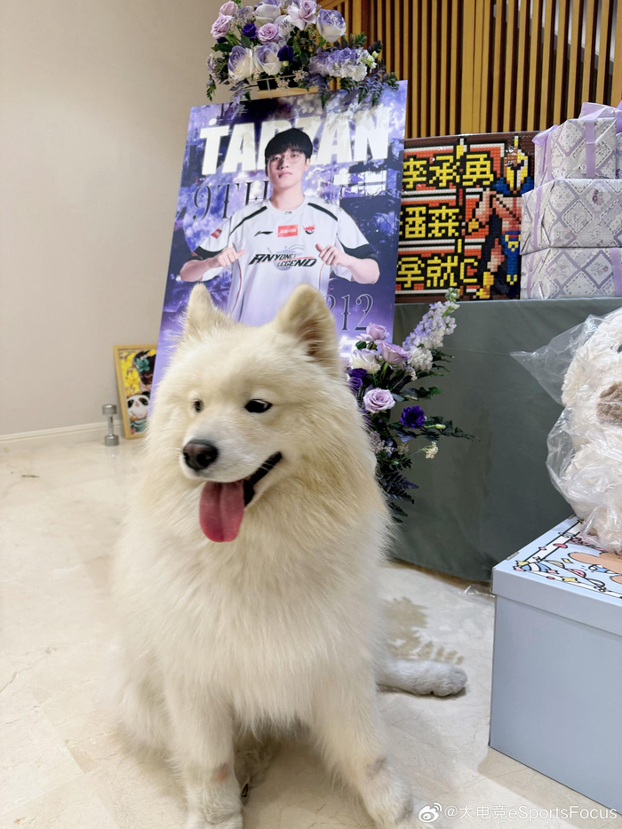 Tarzan李承勇感恩粉丝九年支持，承诺展现精彩比赛|lpl|AL|粉丝应援物产出|赛程|写作业_新浪体育_新浪新闻